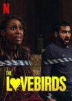 دانلود فیلم مرغ عشق ها The Lovebirds 2020
